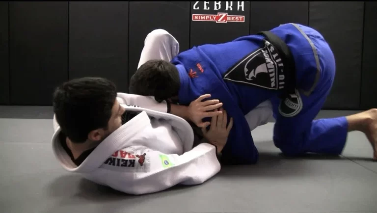 butterfly guard pass